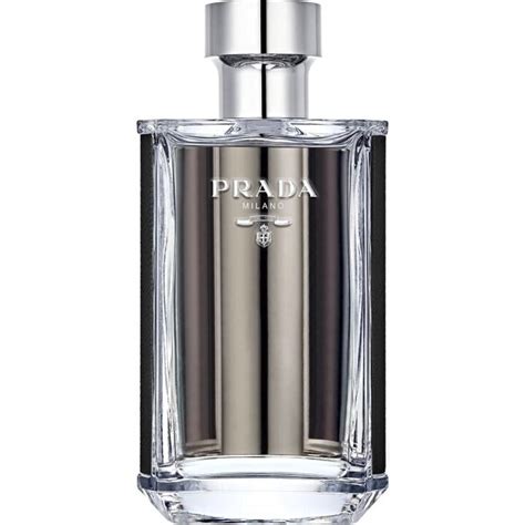 prada - prada l'homme|prada l'homme reviews.